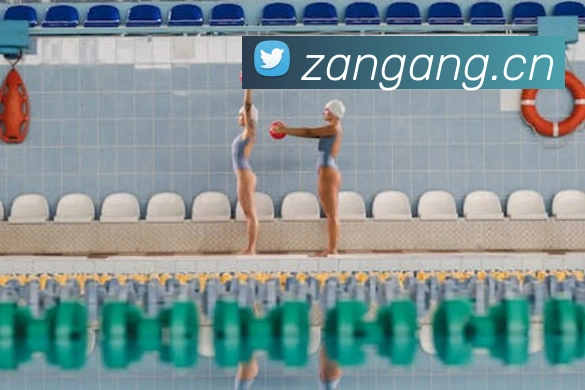 华体育会app手机网页登录全站App